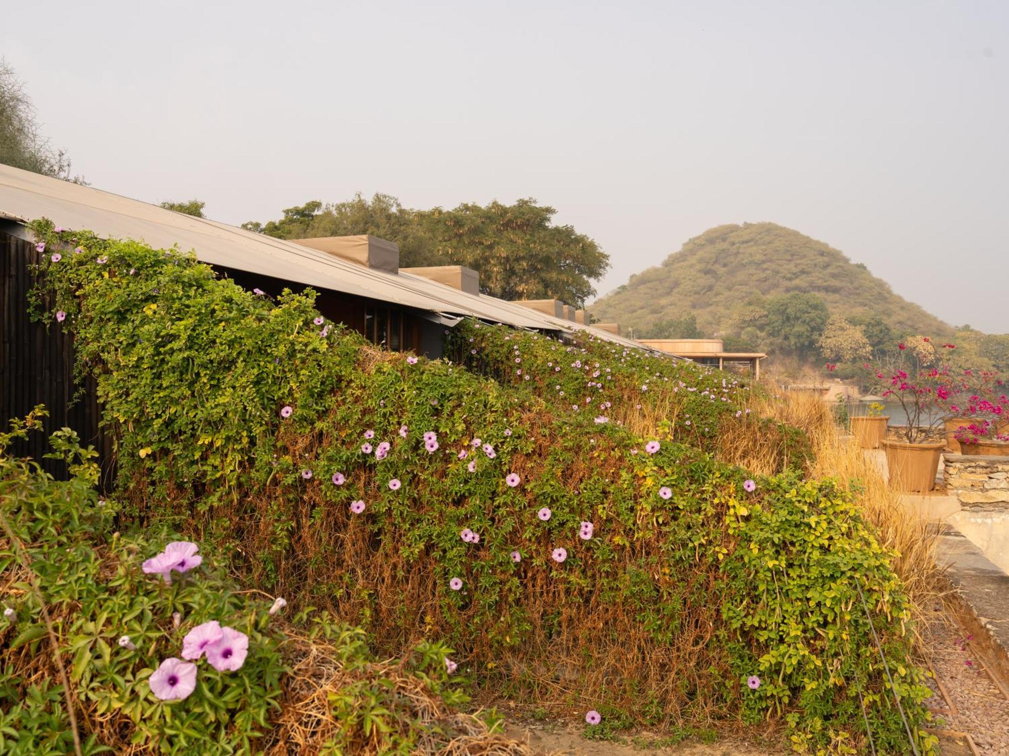 Raas Chhatrasagar, Nimaj, District Pali Exteriör bild